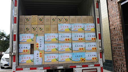 助銷黃桃社會(huì)扶貧，關(guān)愛員工送高溫福利